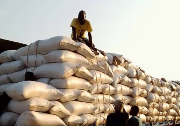 benin-soybeans-1140x640